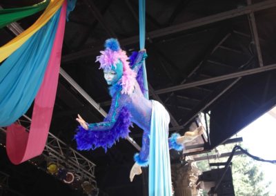 Jen as Cirque-style bird character on aerial silks, Toronto, ON